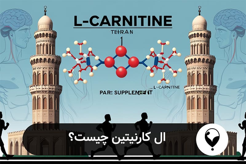 ال کارنیتین چیست