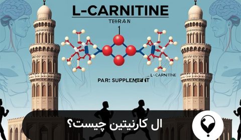 ال کارنیتین چیست